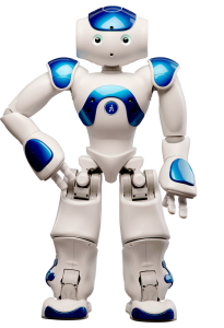 nao-novice